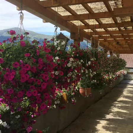 Burgschroffen ゲストハウス 3*